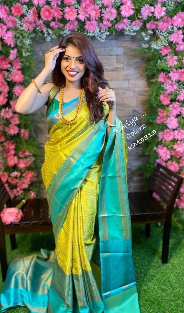 Banarasi Soft Silk Saree