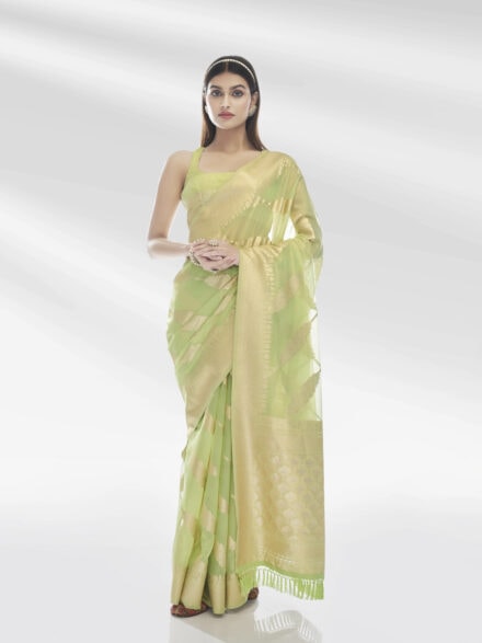 PISTA GREEN PURE ORGANZA SAREE