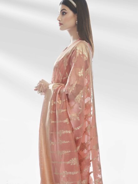 PEACH PURE ORGANZA SAREE