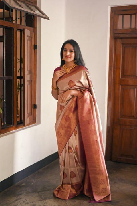 BANARASI SOFT SILK SAREE