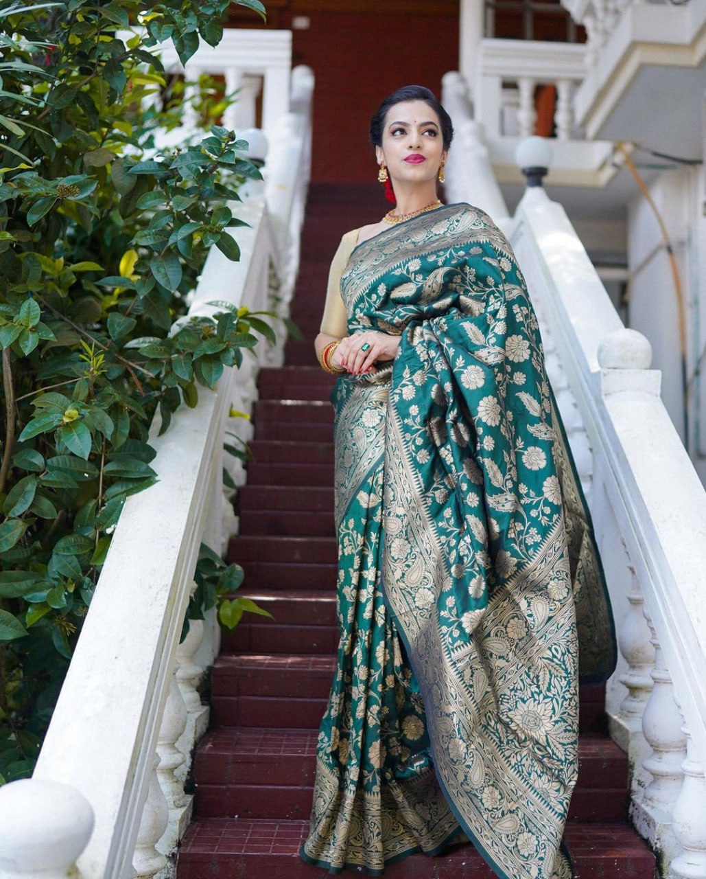 Banarasi SofT Silk Saree