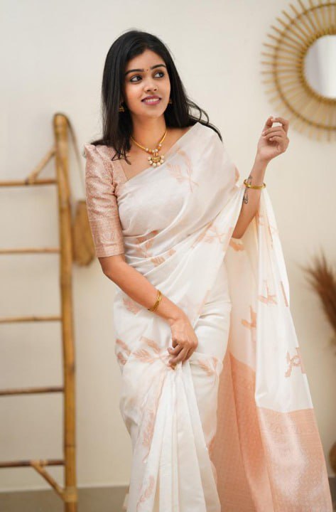 BANARASI SOFT SILK SAREE