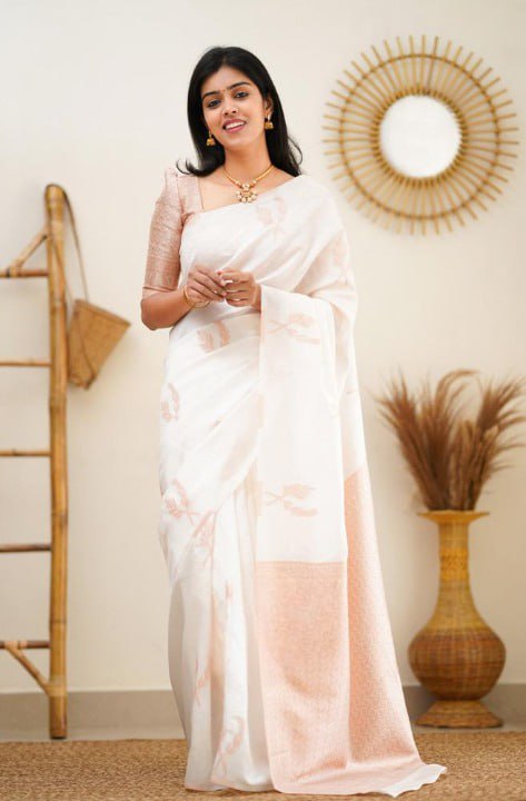 BANARASI SOFT SILK SAREE