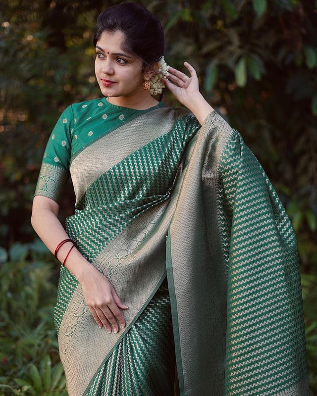 BANARASI SOFT SILK SAREE