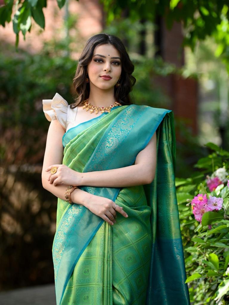 BANARASI SOFT SILK SAREE