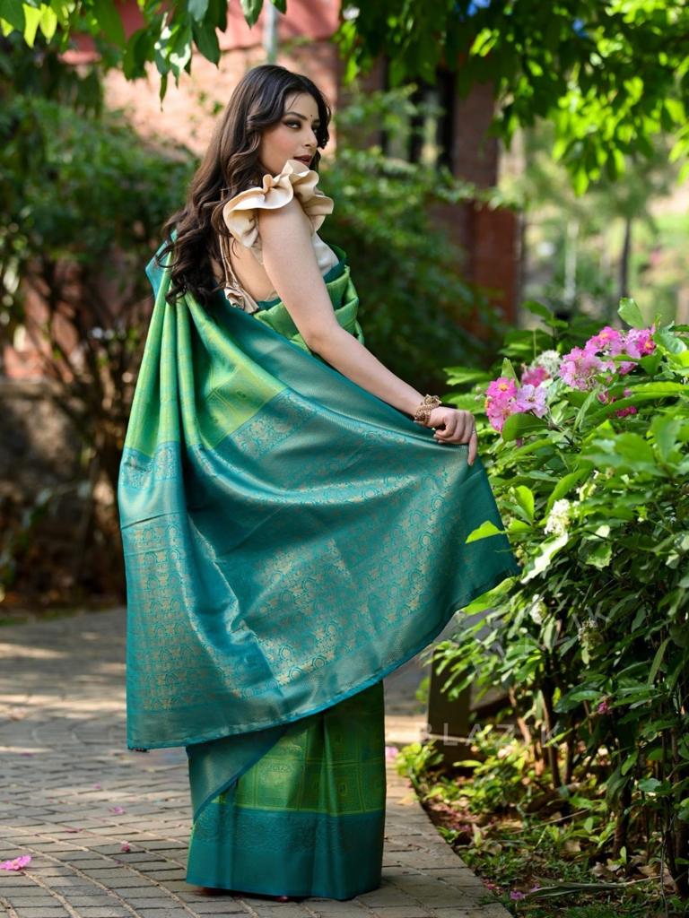 BANARASI SOFT SILK SAREE