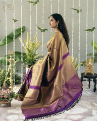 BANARASI SOFT SILK SAREE