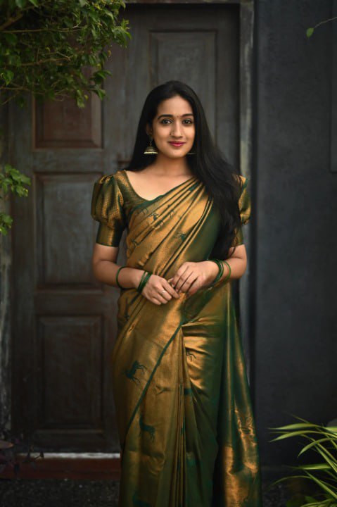 BANARASI SOFT SILK SAREE