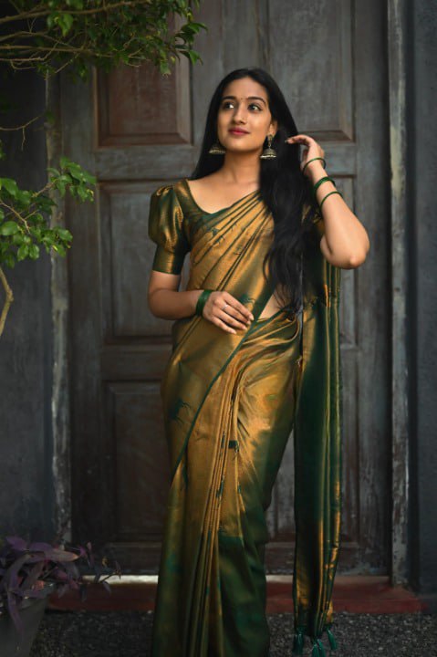 BANARASI SOFT SILK SAREE