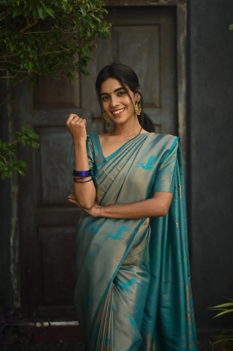 BANARASI SOFT SILK SAREE