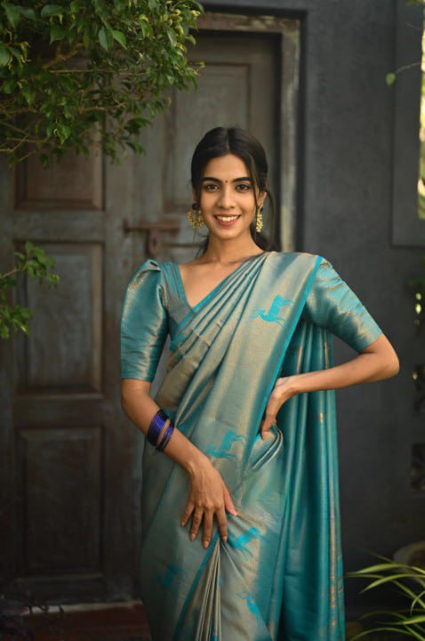 BANARASI SOFT SILK SAREE