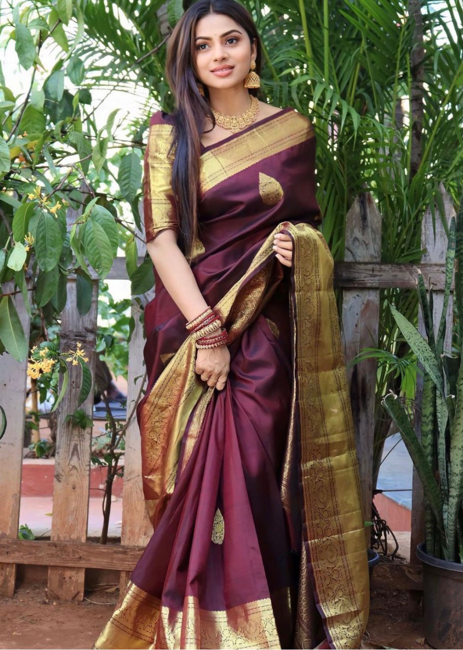 BANARASI SOFT SILK SAREE