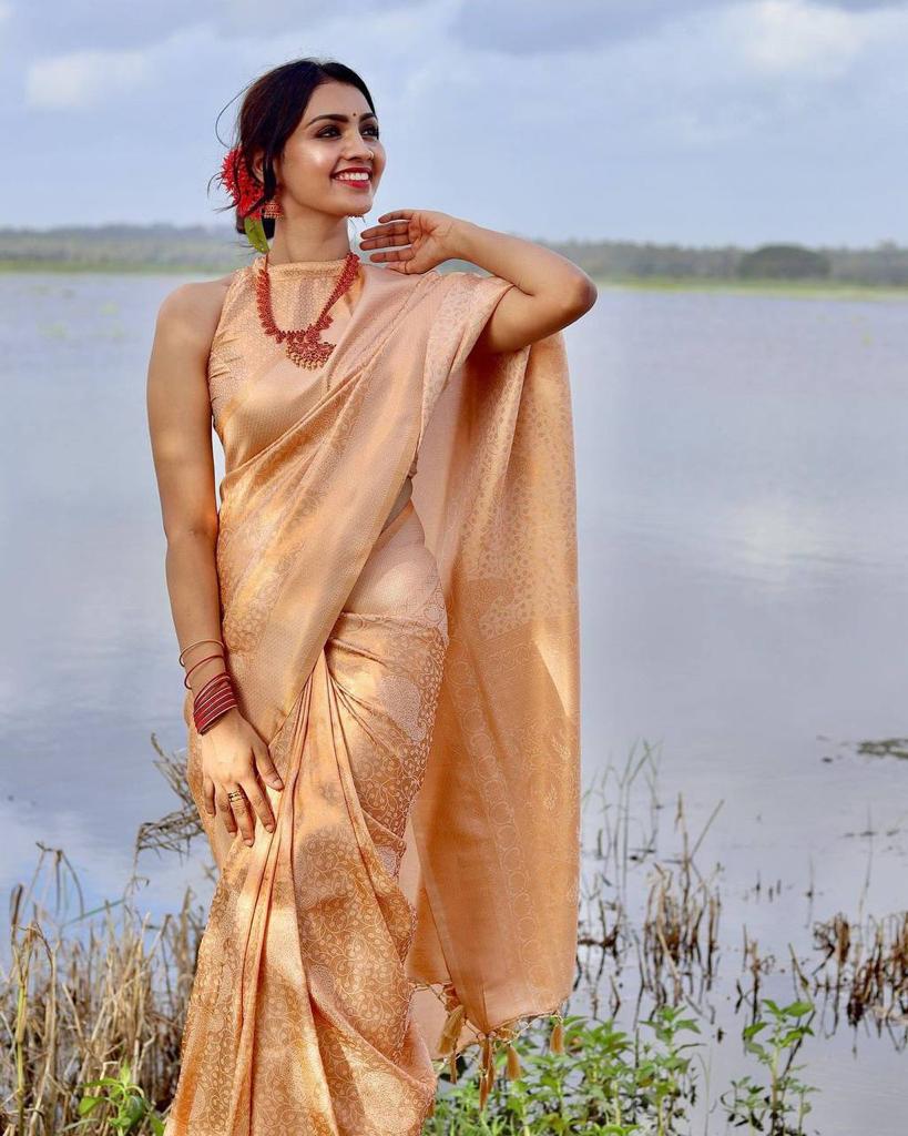 BANARASI SOFT SILK SAREE