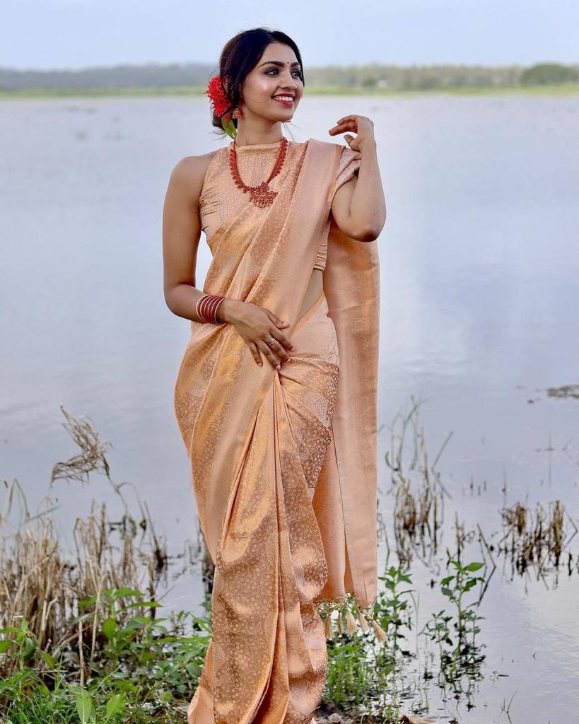 BANARASI SOFT SILK SAREE