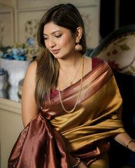 BanarasiSof Silk Saree