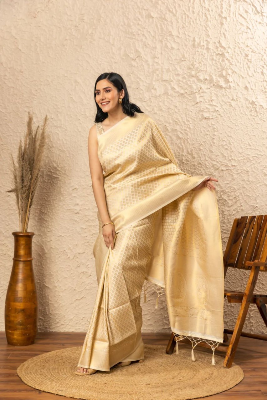 BANARASI SOF SILK SAREE