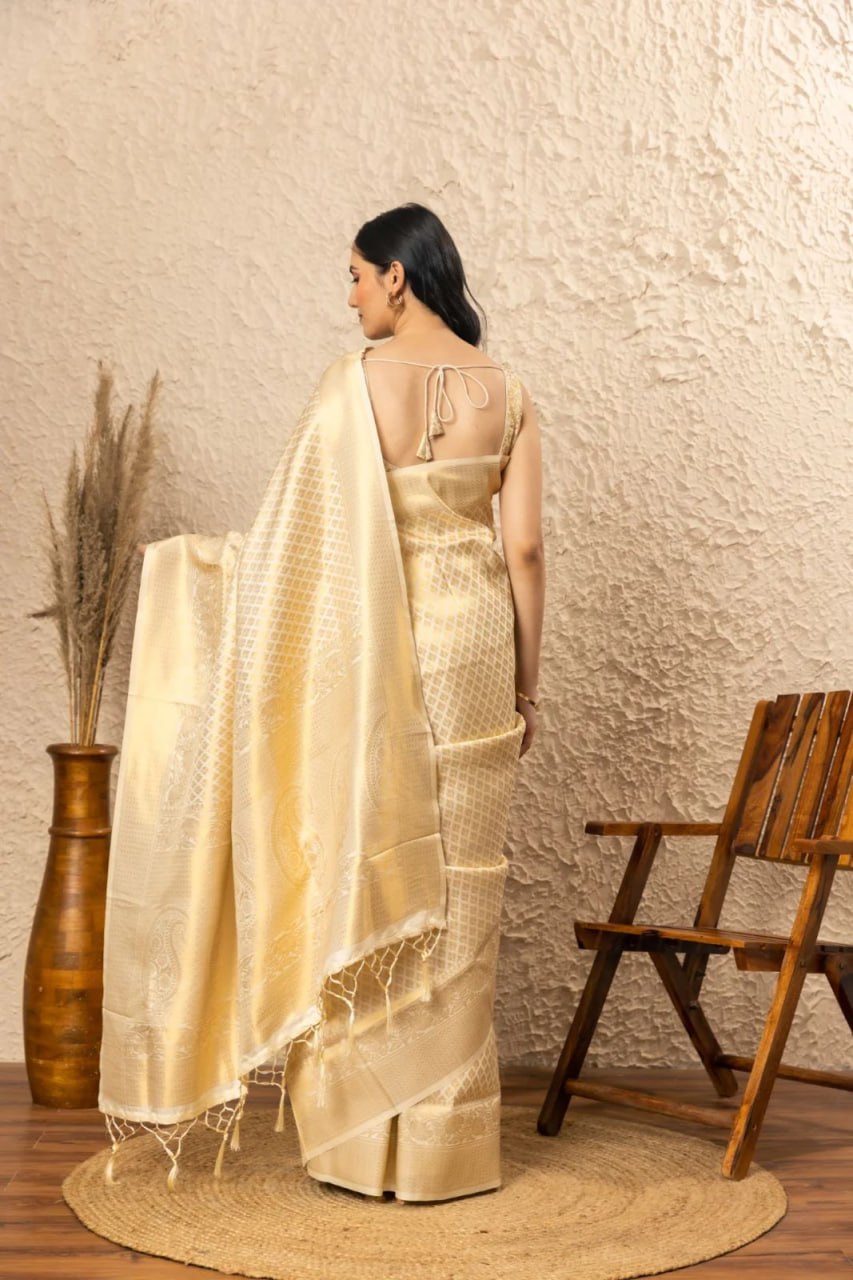 BANARASI SOF SILK SAREE